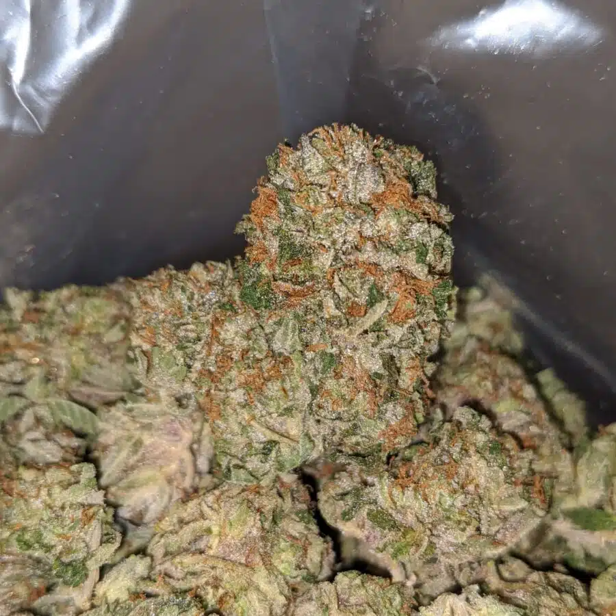 WhatsApp Image 2023 06 01 at 1.12.28 PM I $ 78 Oz - Greasy Bubba Kush
