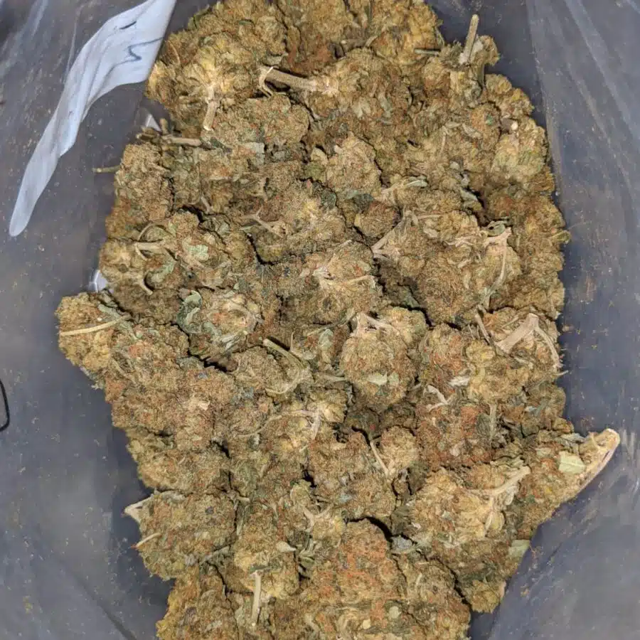 Alternative view of $ 32 Oz - AA Bulk Special Oz