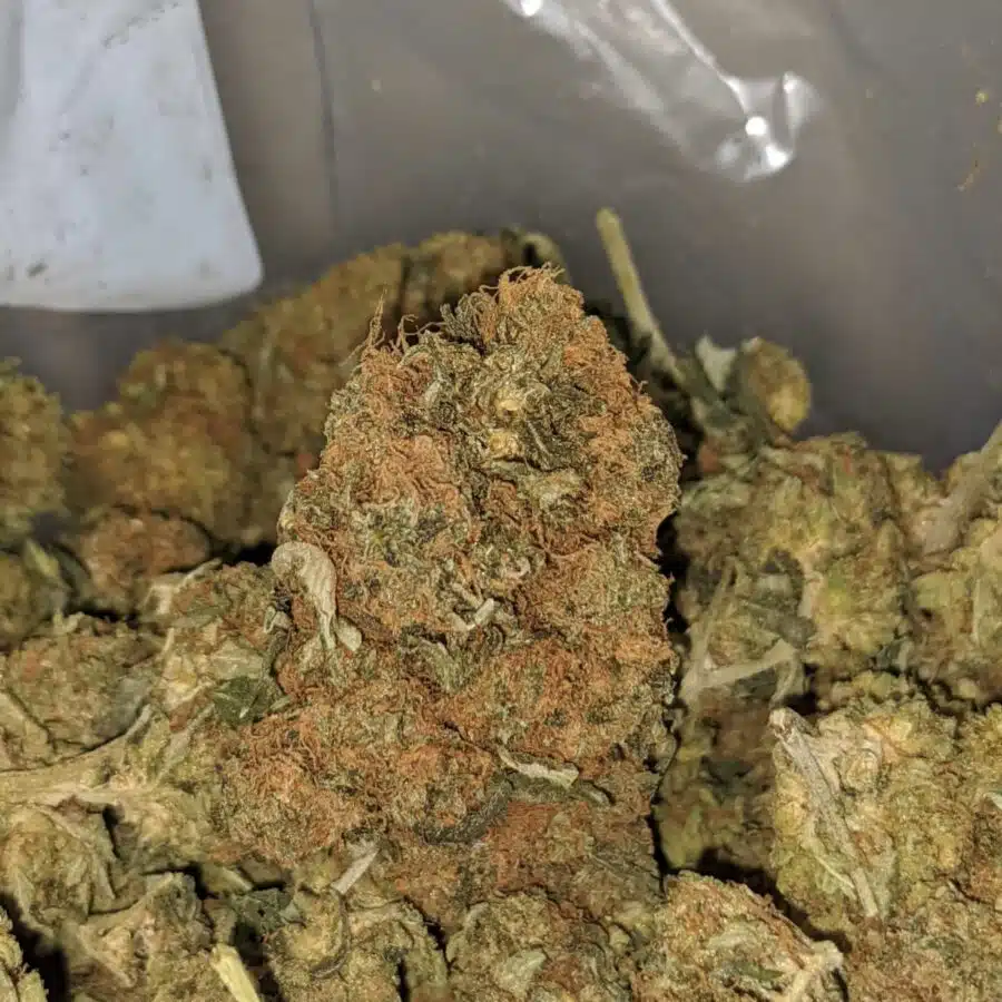 aa black dog 3 I $ 32 Oz - AA Bulk Special Oz