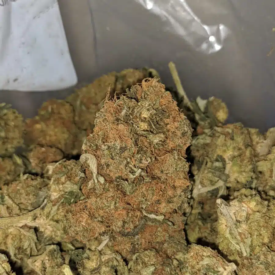 aa black dog 4 I $ 32 Oz - AA Bulk Special Oz
