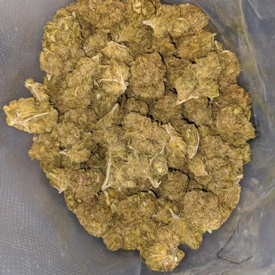 aa cosmic kush bulk special 1 I AA Cosmic Kush Bulk Special