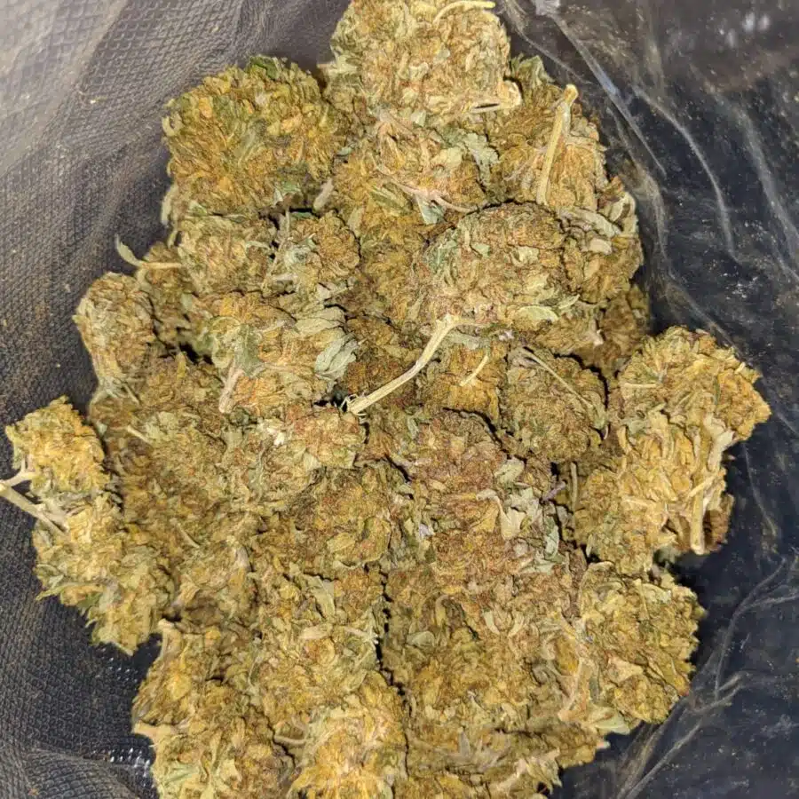 AA Green Goblin