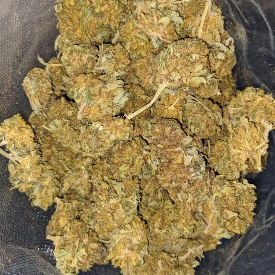 Alternative view of AA Green Goblin