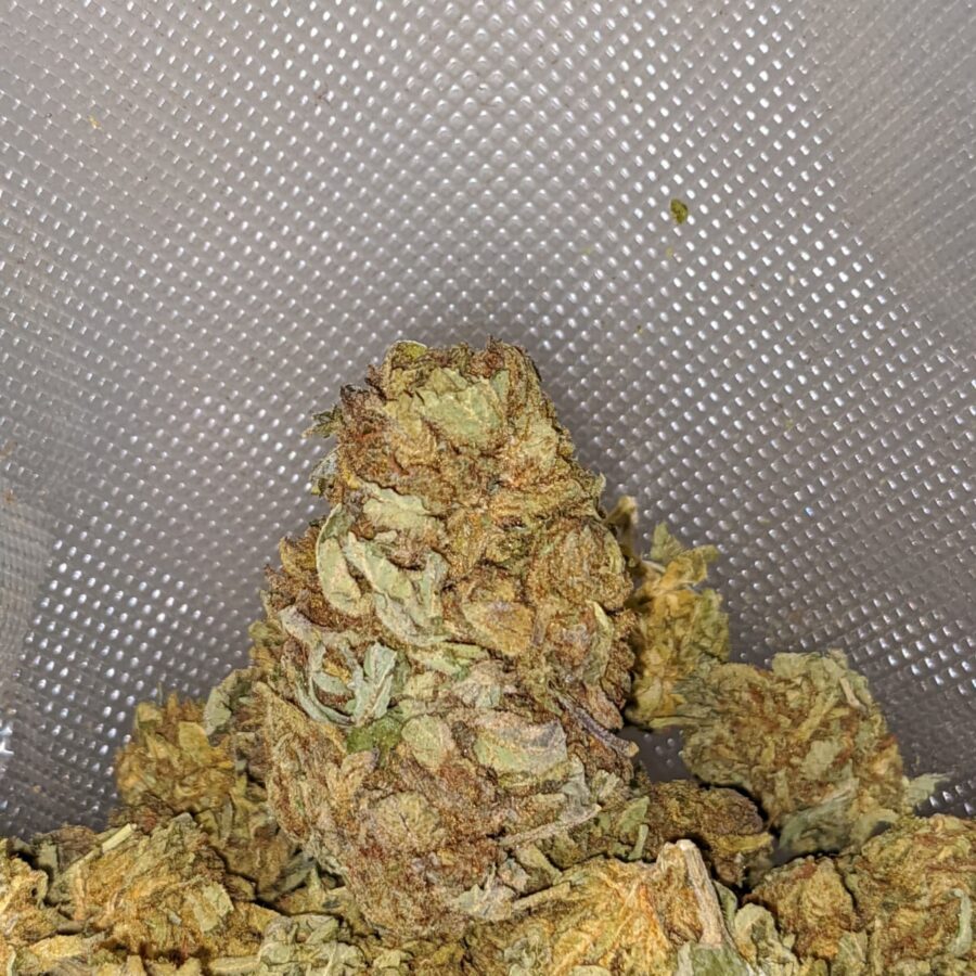 aa green goblin 3 I AA Green Goblin