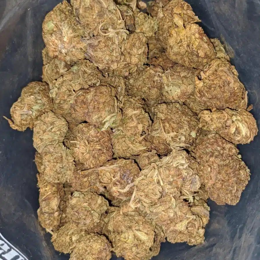 aa kush bulk special 1 I AA Kush Bulk Special