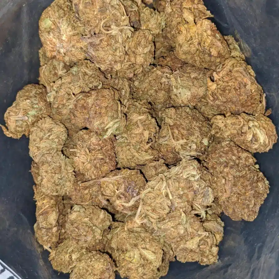aa kush bulk special 2 I AA Kush Bulk Special
