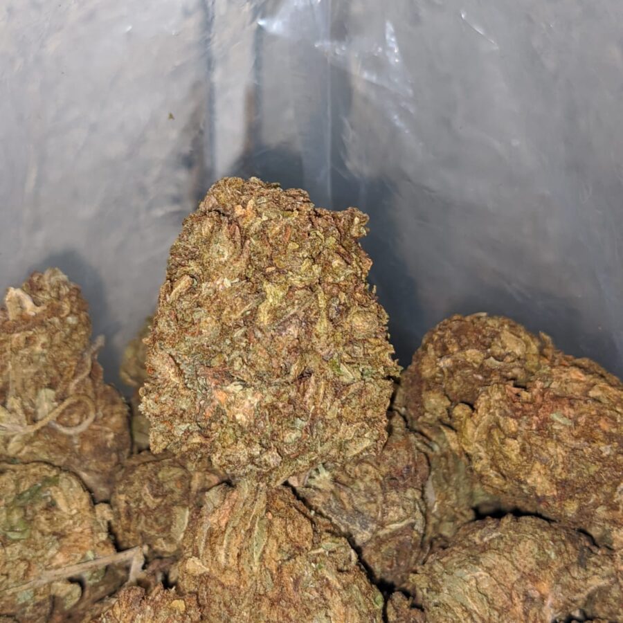 AA Kush Bulk Special - Image 7