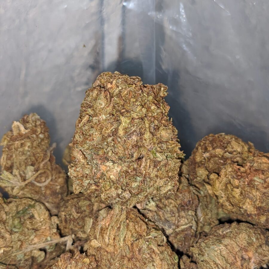 AA Kush Bulk Special - Image 6