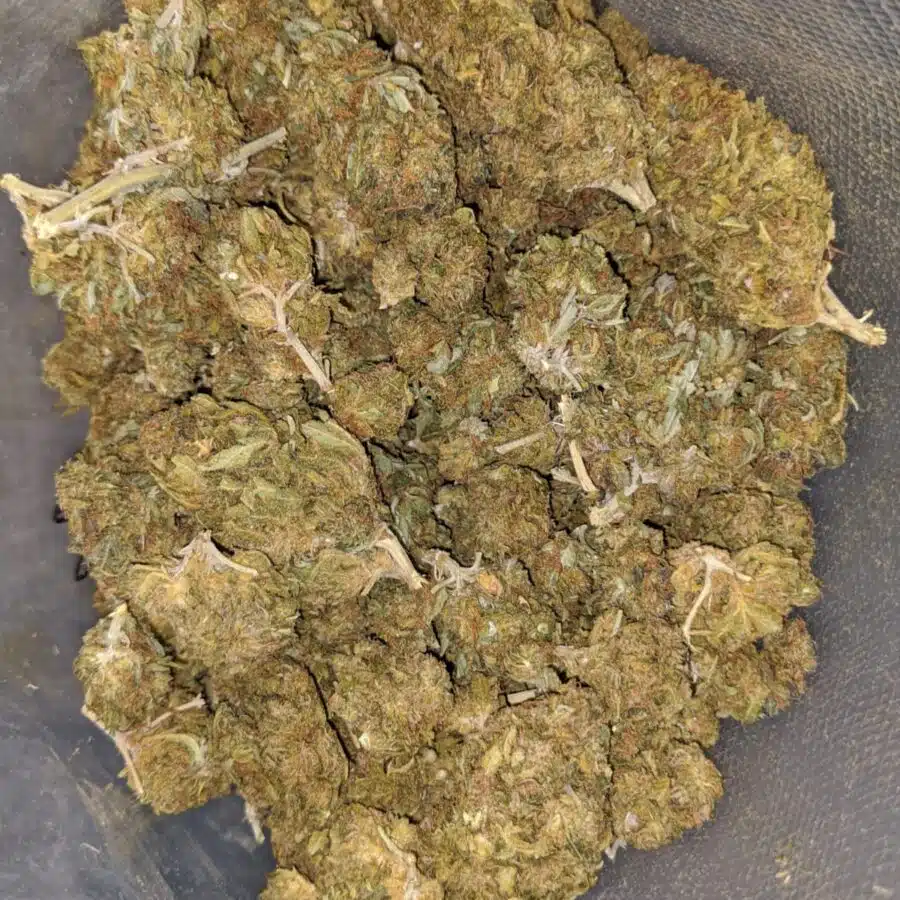AA Kushberry Bulk Special