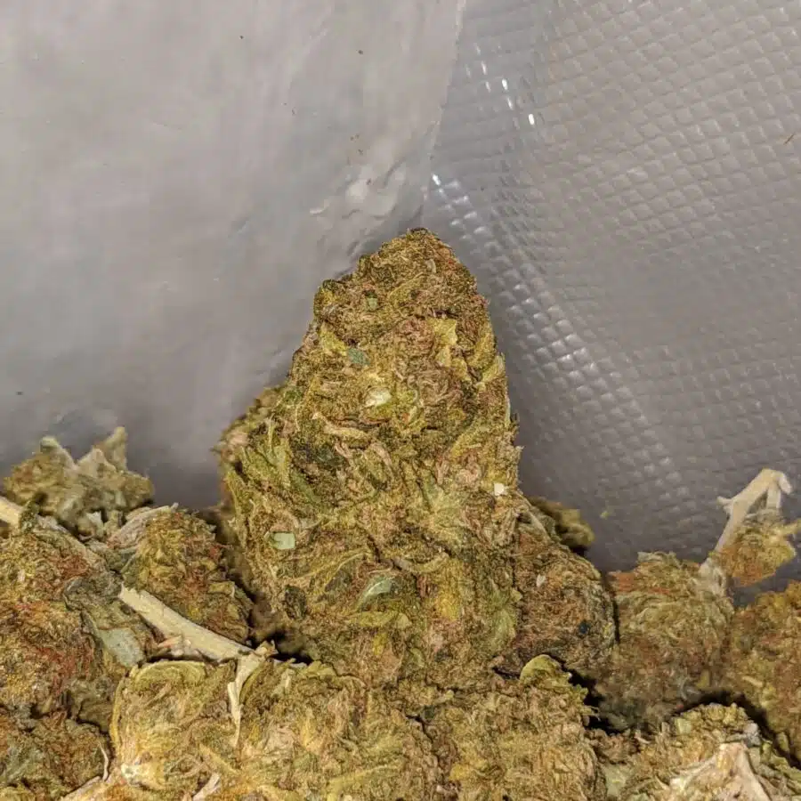 Alternative view of AA Kushberry Bulk Special