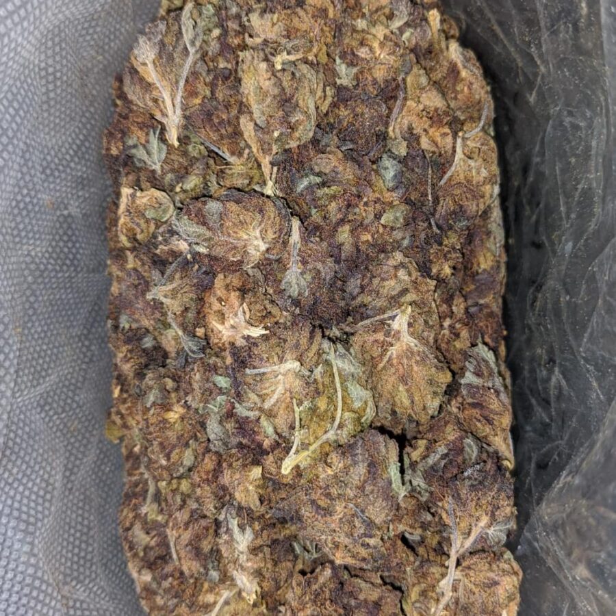 AA Purple Widow Bulk Special - Image 3