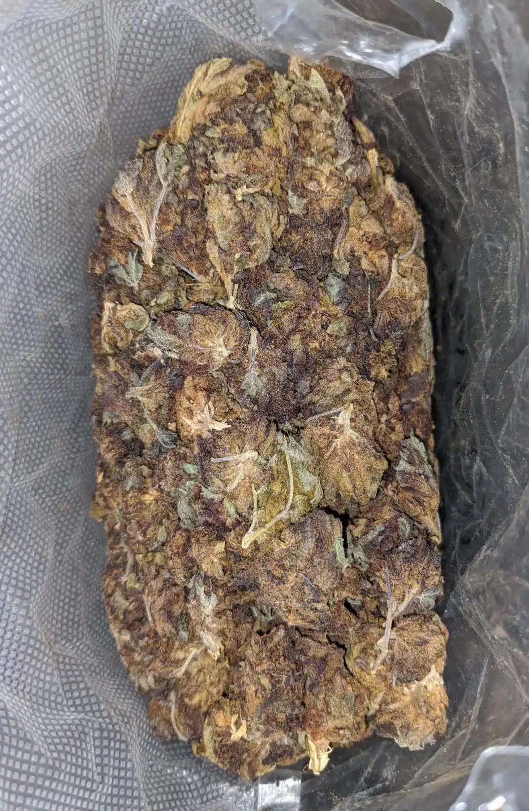 AA Purple Widow Bulk Special - Image 3