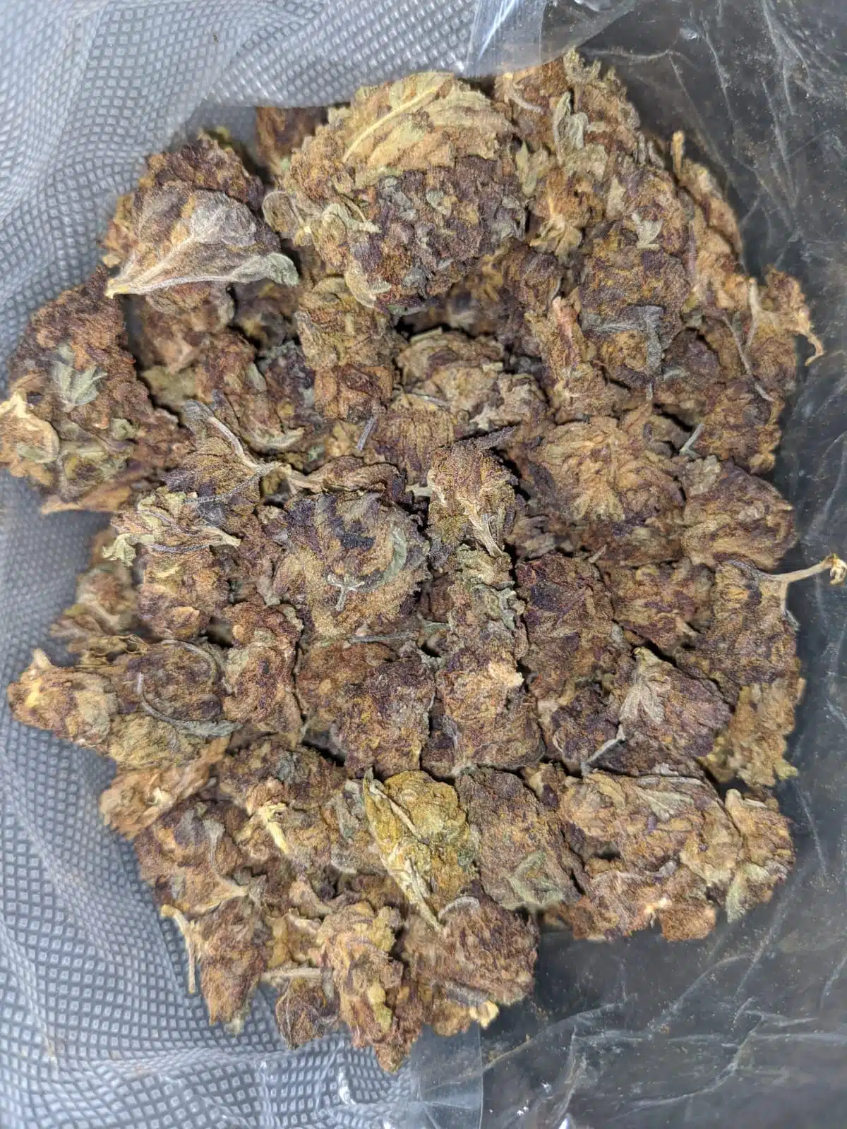 AA Purple Widow Bulk Special