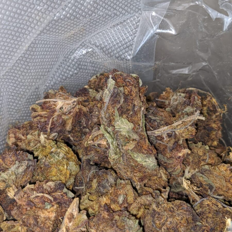 AA Purple Widow Bulk Special - Image 5