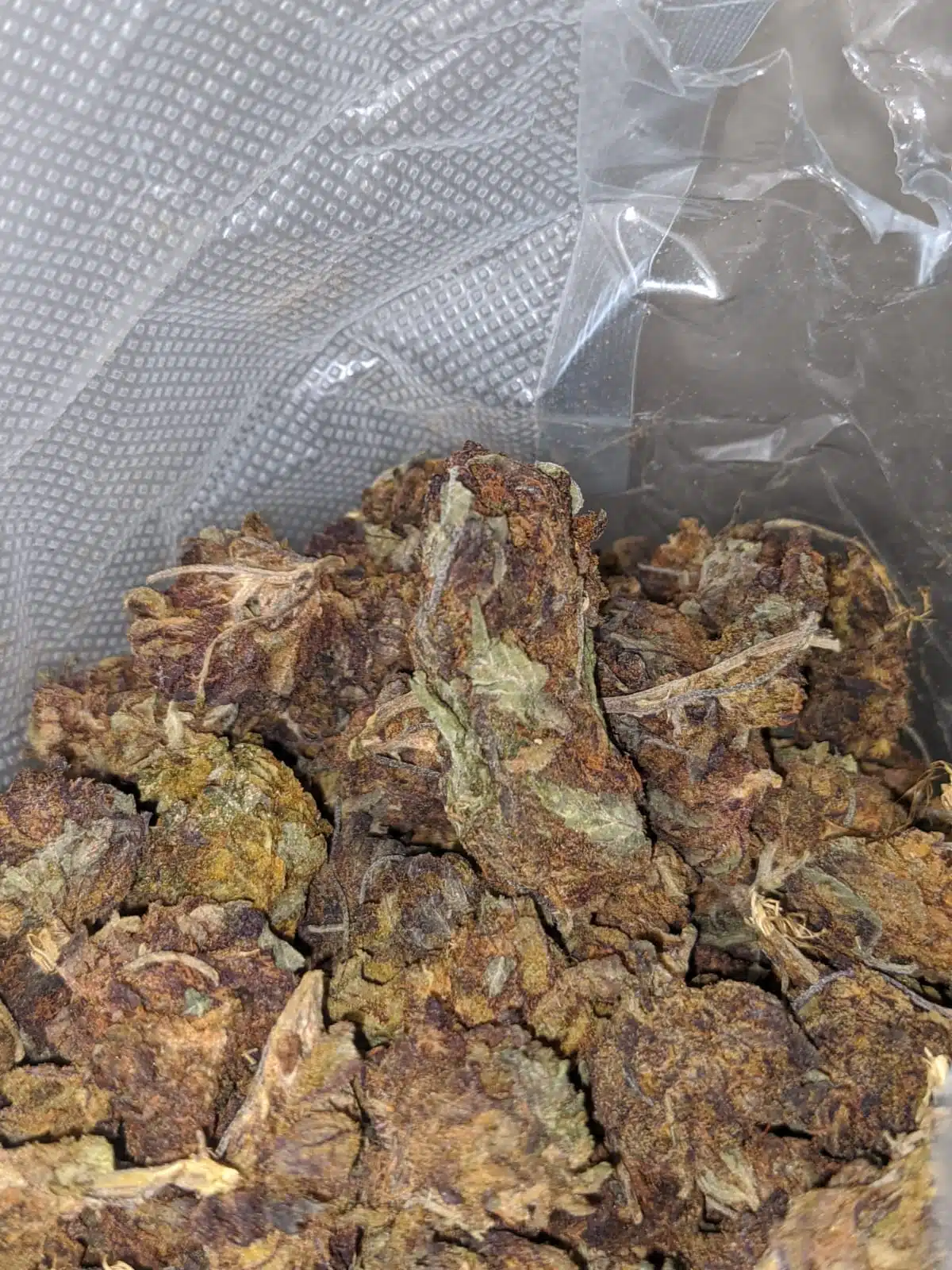 AA Purple Widow Bulk Special - Image 5