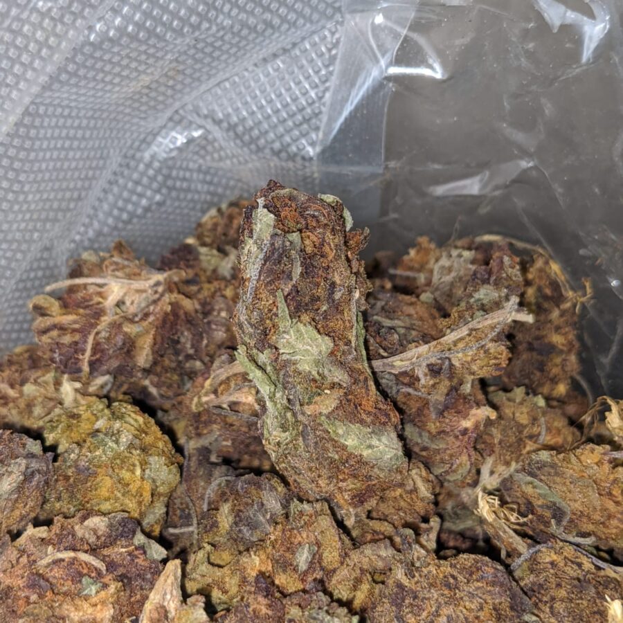 AA Purple Widow Bulk Special - Image 4