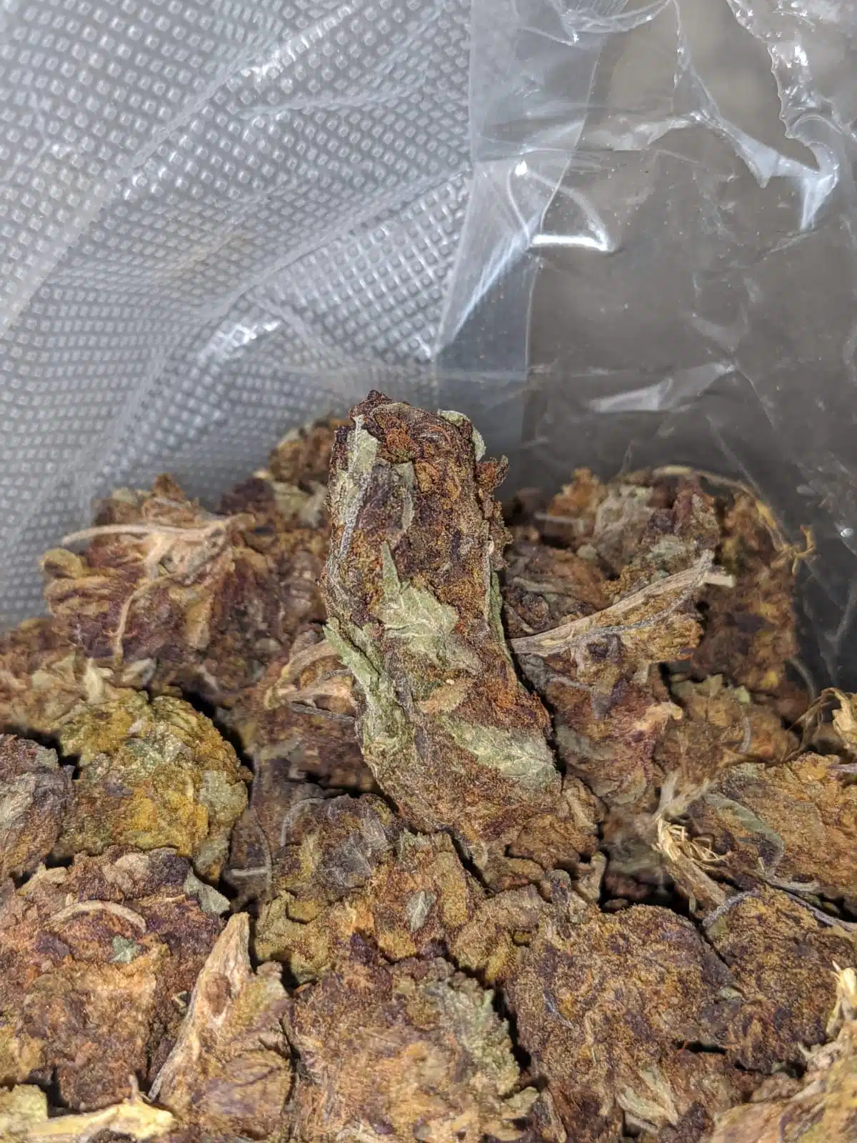 AA Purple Widow Bulk Special - Image 4