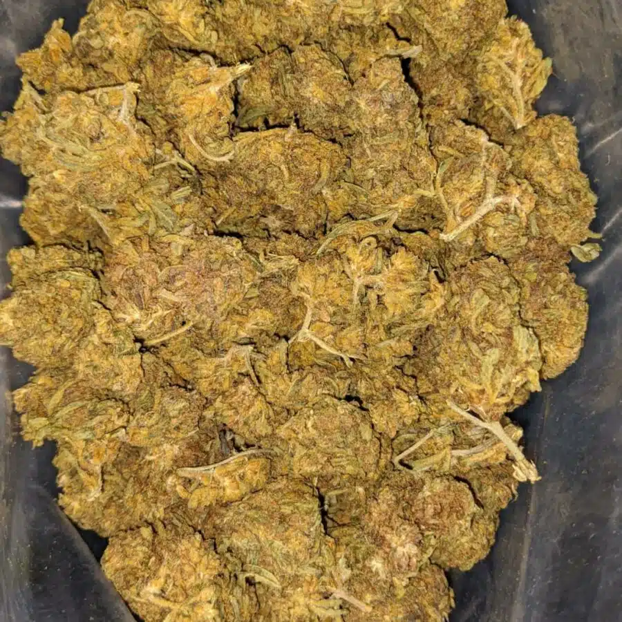 aa sour bubba 1 I AA Sour Bubba