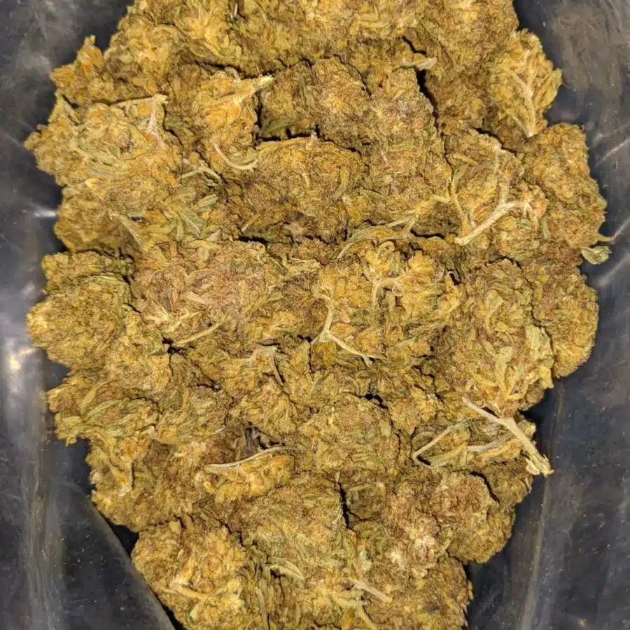 aa sour bubba 2 I AA Sour Bubba