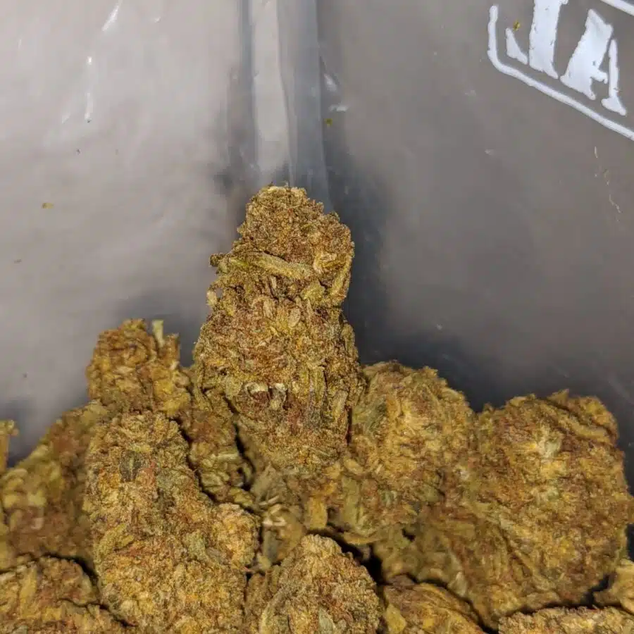 aa sour bubba 3 I AA Sour Bubba