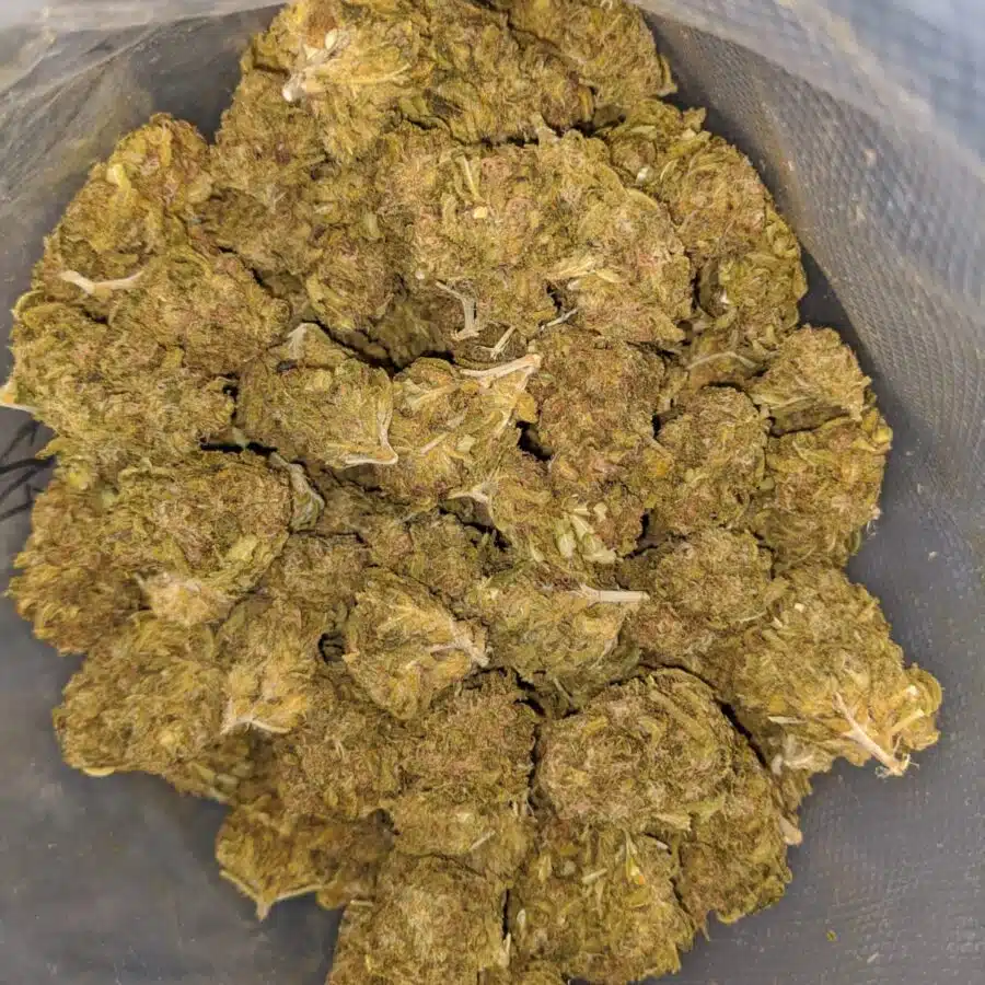 Alternative view of AA Sweet Berry Bulk Special