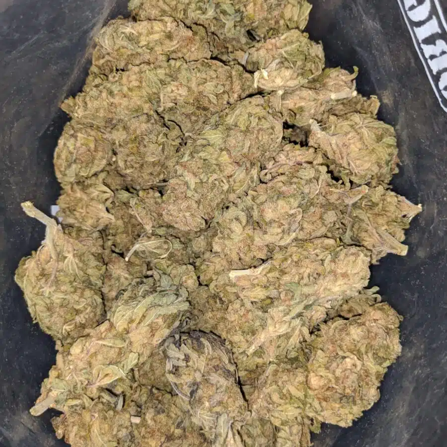 aa sweet kush 1 I AA Sweet Kush
