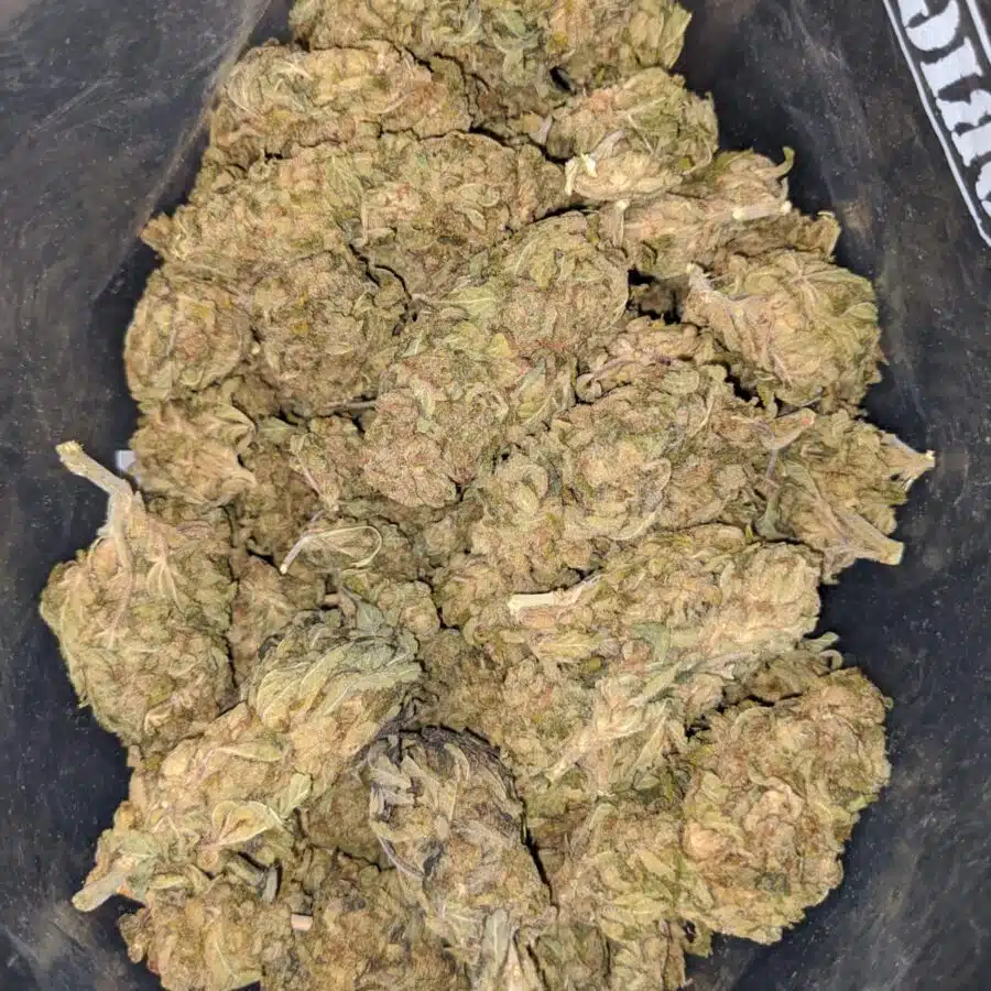 aa sweet kush 2 I AA Sweet Kush