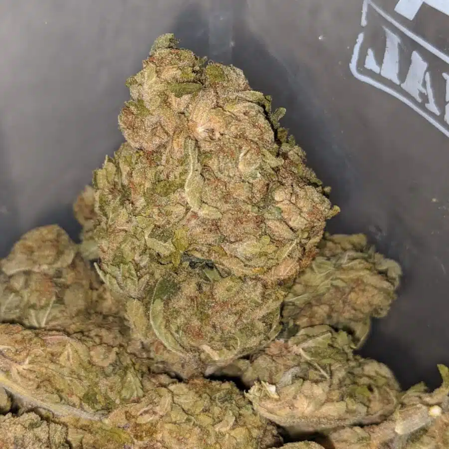 aa sweet kush 3 I AA Sweet Kush