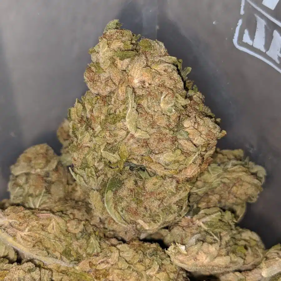 aa sweet kush 4 I AA Sweet Kush