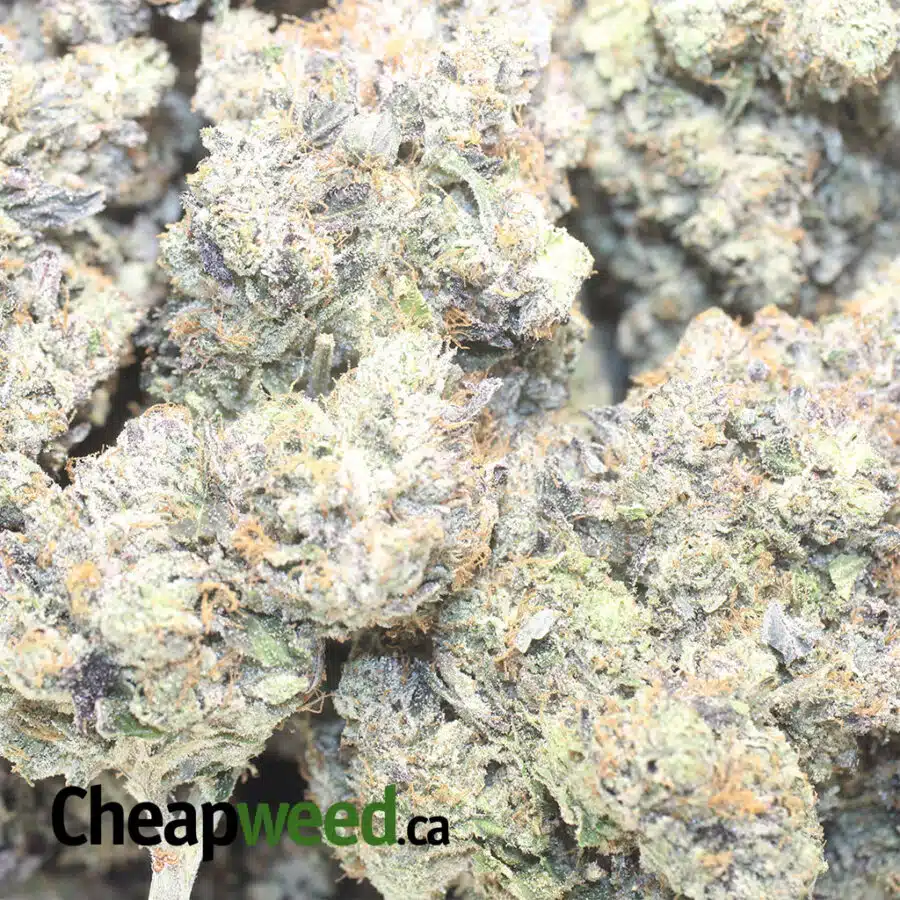 black gas 1 I $ 135 Oz - Black Gas AAAA