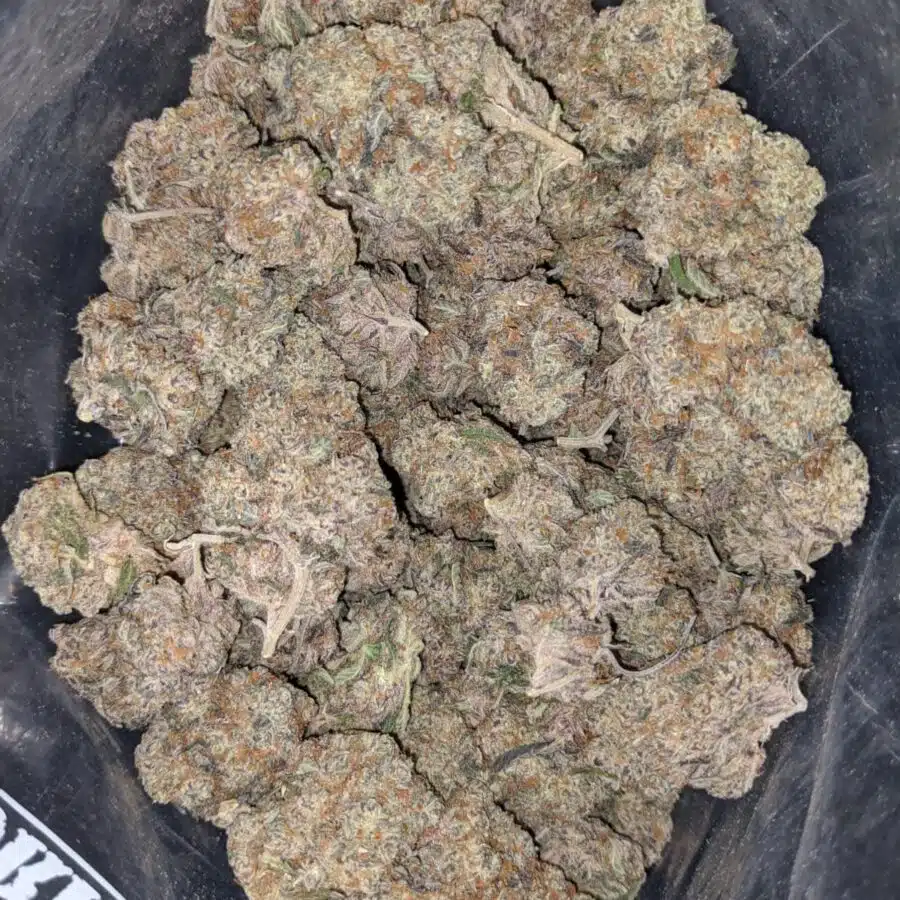 blackberry soda 1 I Blackberry Soda