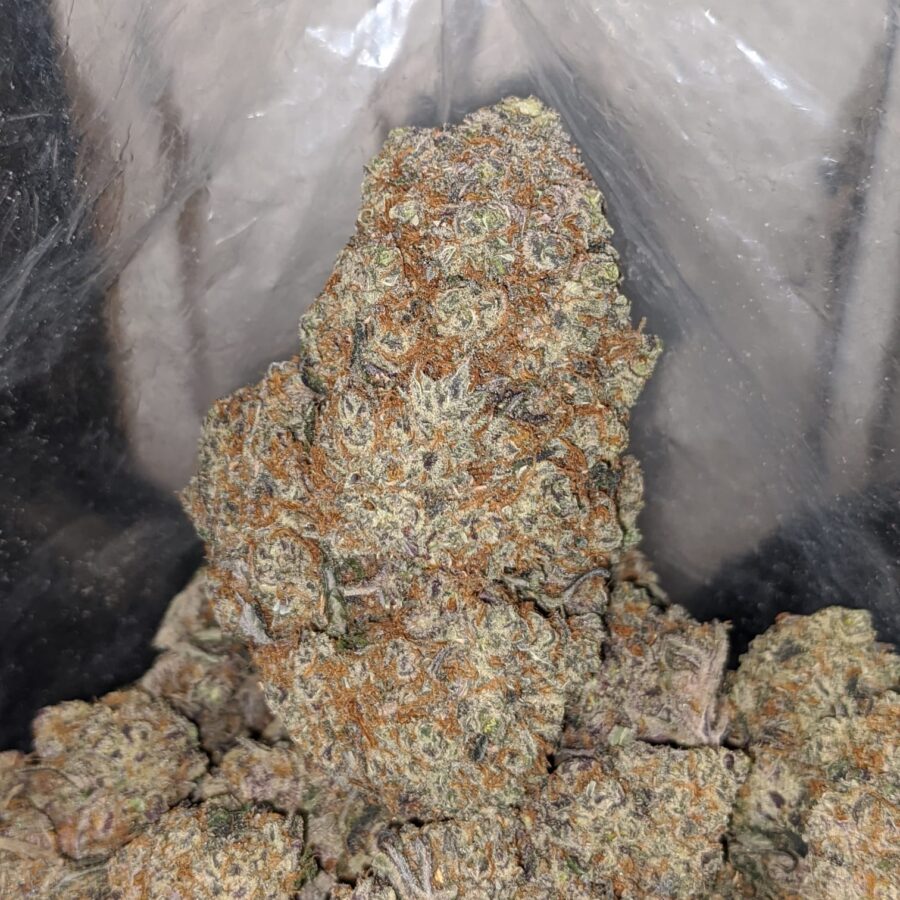 Blackberry Soda - Image 7