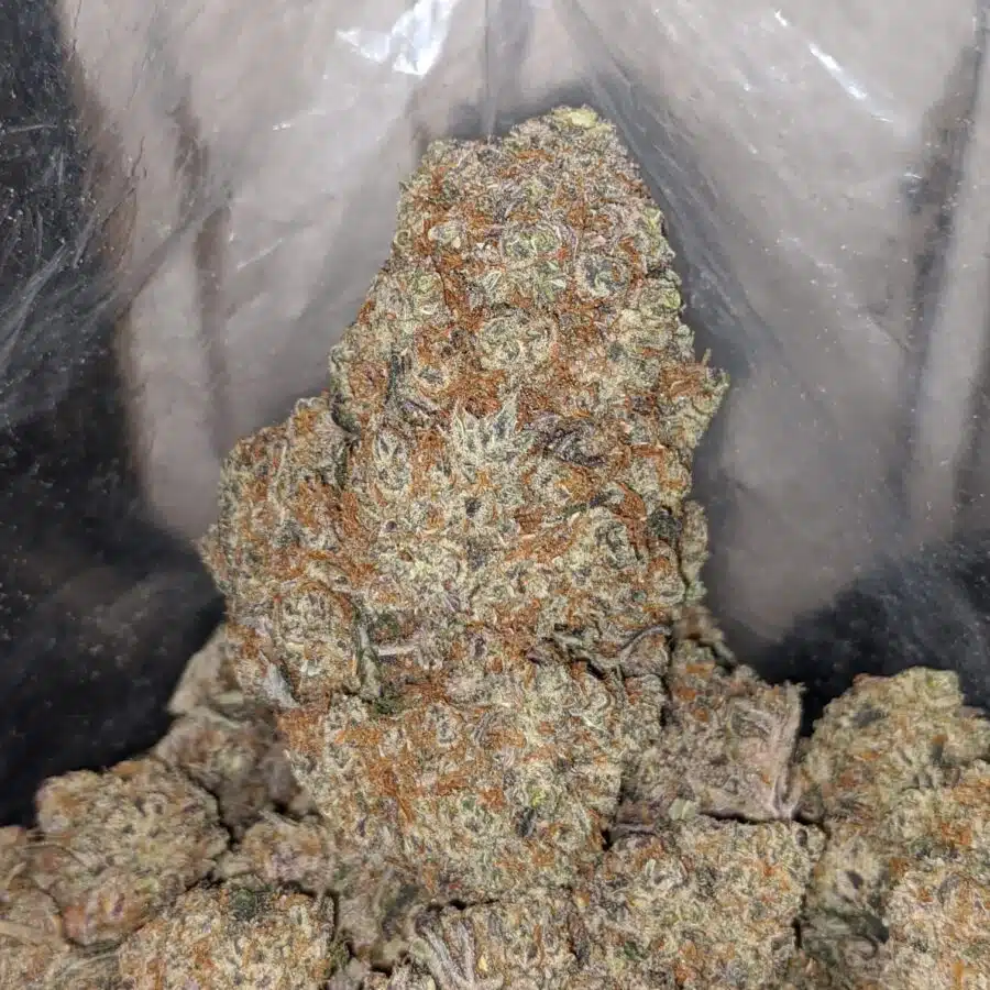 blackberry soda 3 I Blackberry Soda