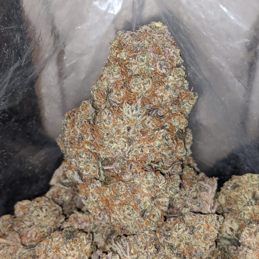 Blackberry Soda - Image 6