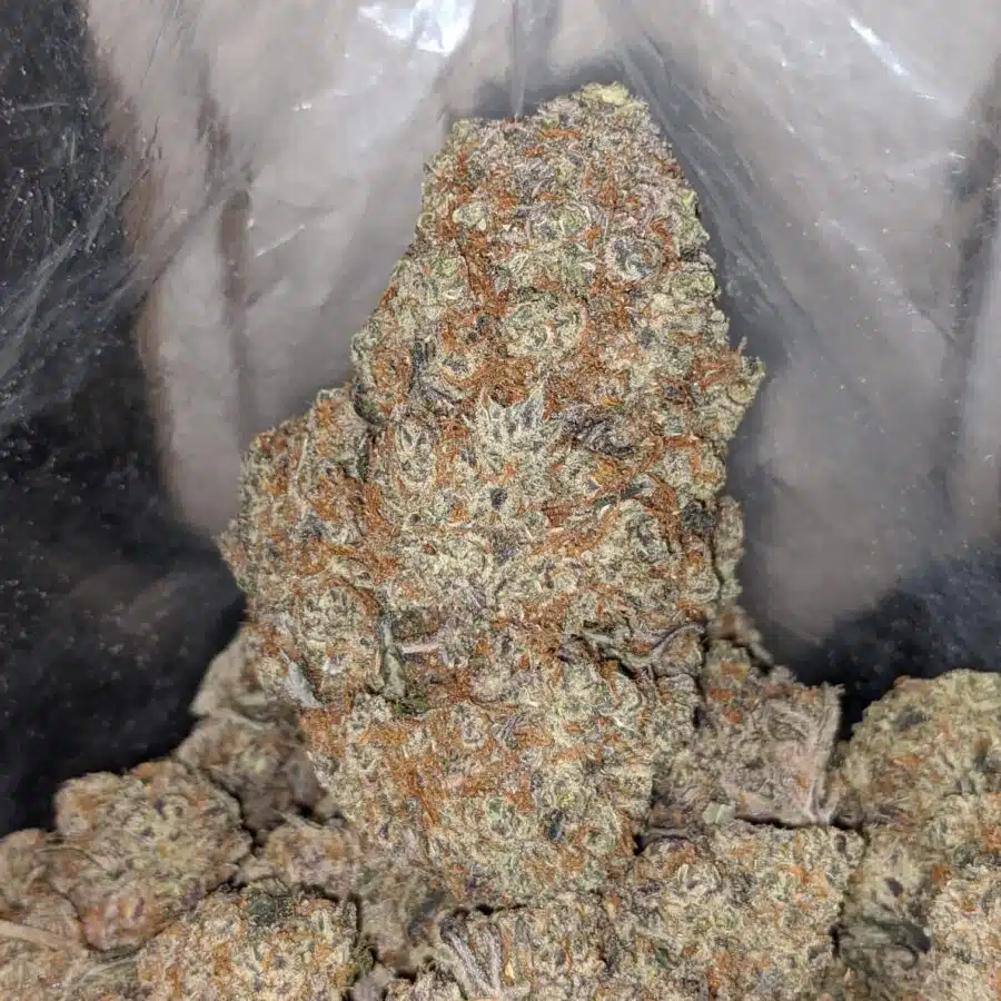 blackberry soda 4 I Blackberry Soda