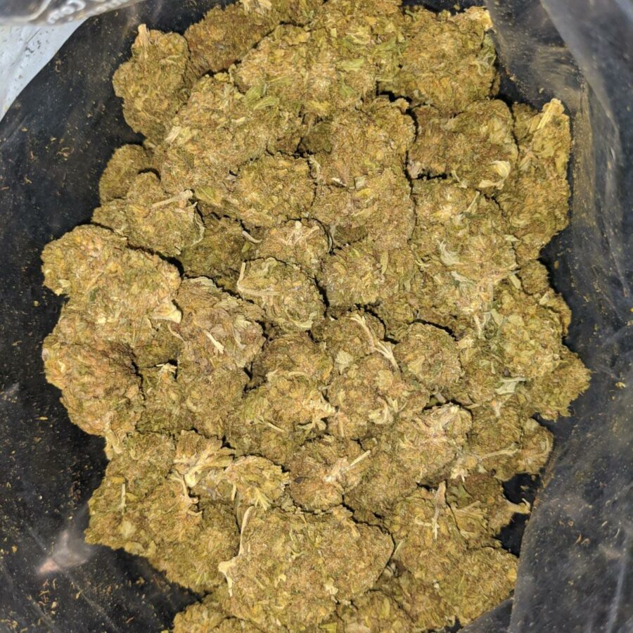 bubba kush bulk special 1 I Bubba Kush Bulk Special