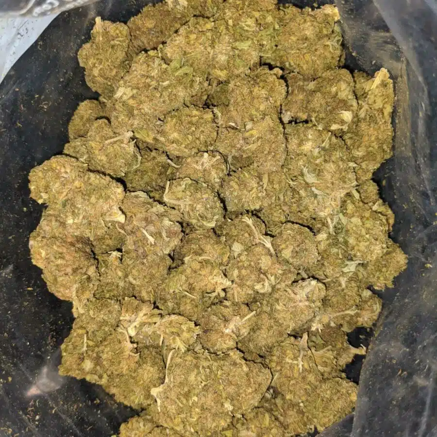 bubba kush bulk special 1 I Bubba Kush Bulk Special
