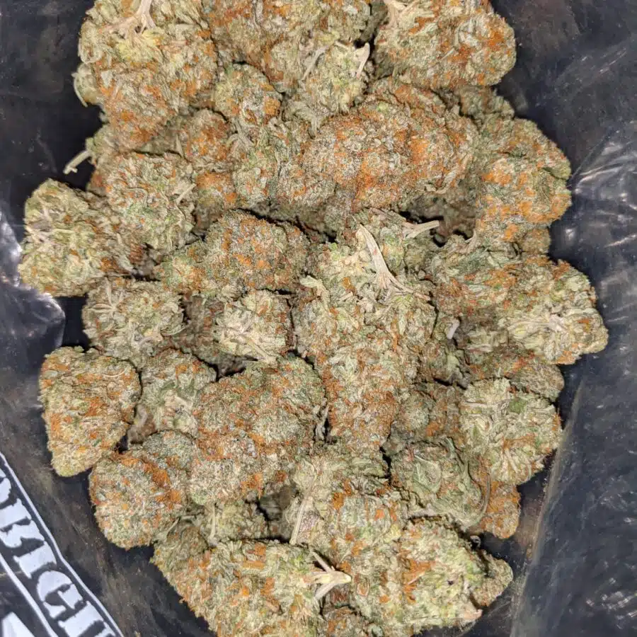 butter scotch kush 1 I Butterscotch Kush