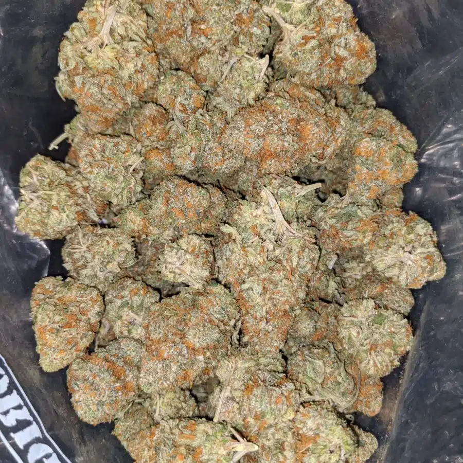butter scotch kush 2 I Butterscotch Kush