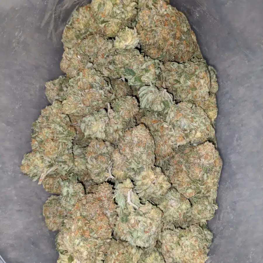 cali bubba 1 I $ 69 Oz - Cali Bubba