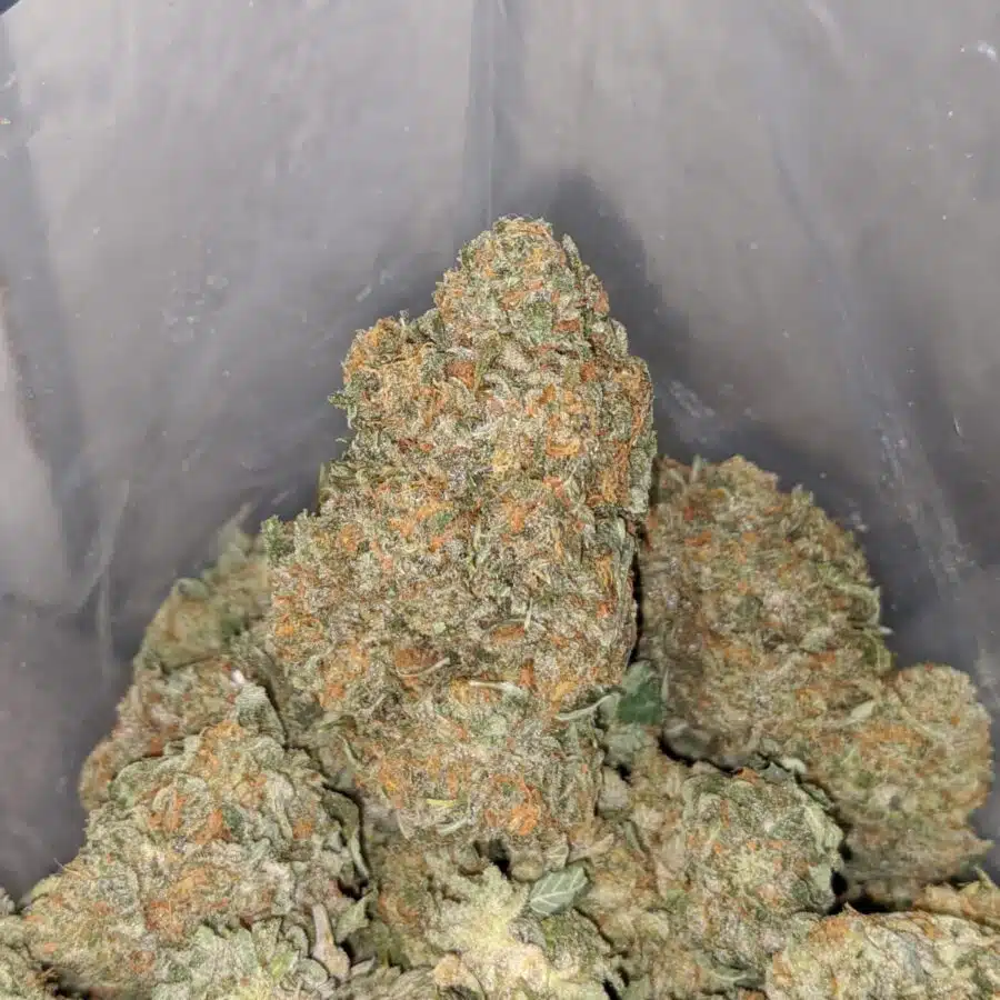 cali bubba 3 I $ 69 Oz - Cali Bubba