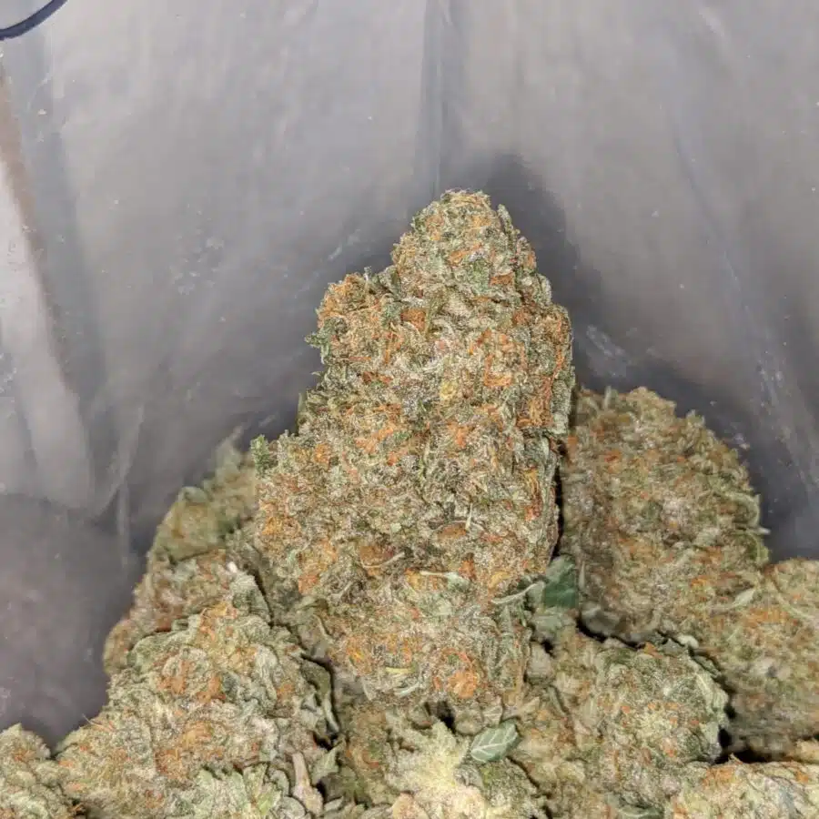 cali bubba 4 I $ 69 Oz - Cali Bubba