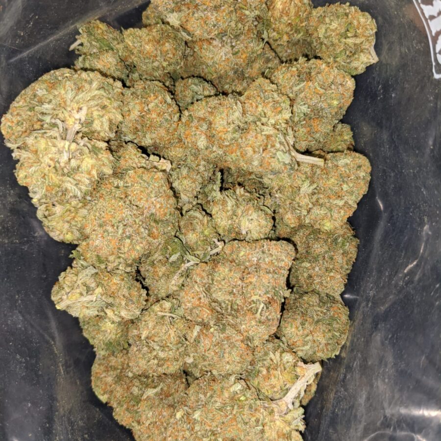 cali tuna 2 I Cali Tuna