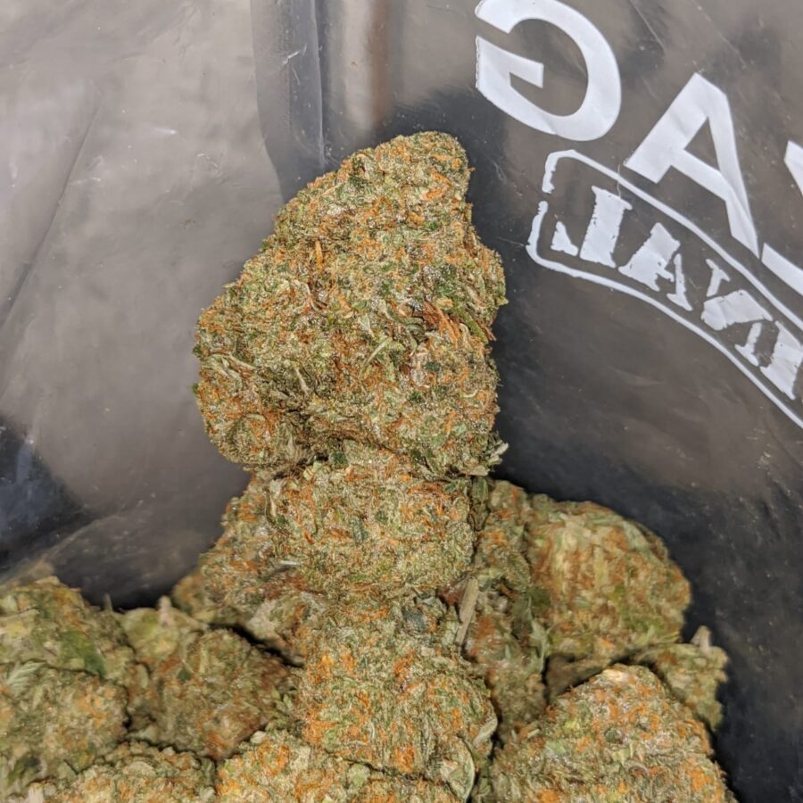 cali tuna 3 I Cali Tuna
