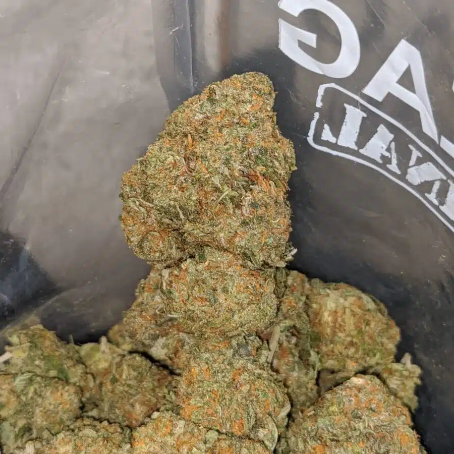 cali tuna 4 I Cali Tuna