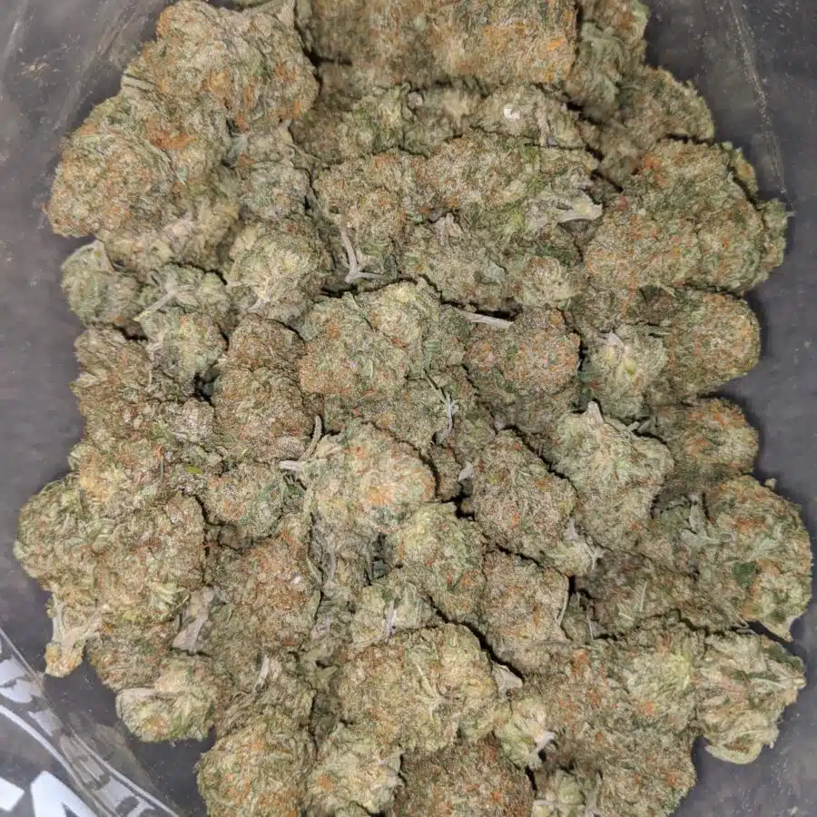 california dream 1 1 I $71 Oz - California Dream