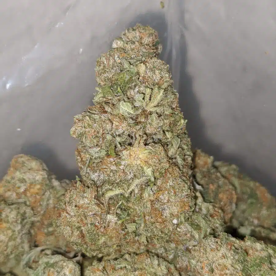 california dream 3 1 I $71 Oz - California Dream