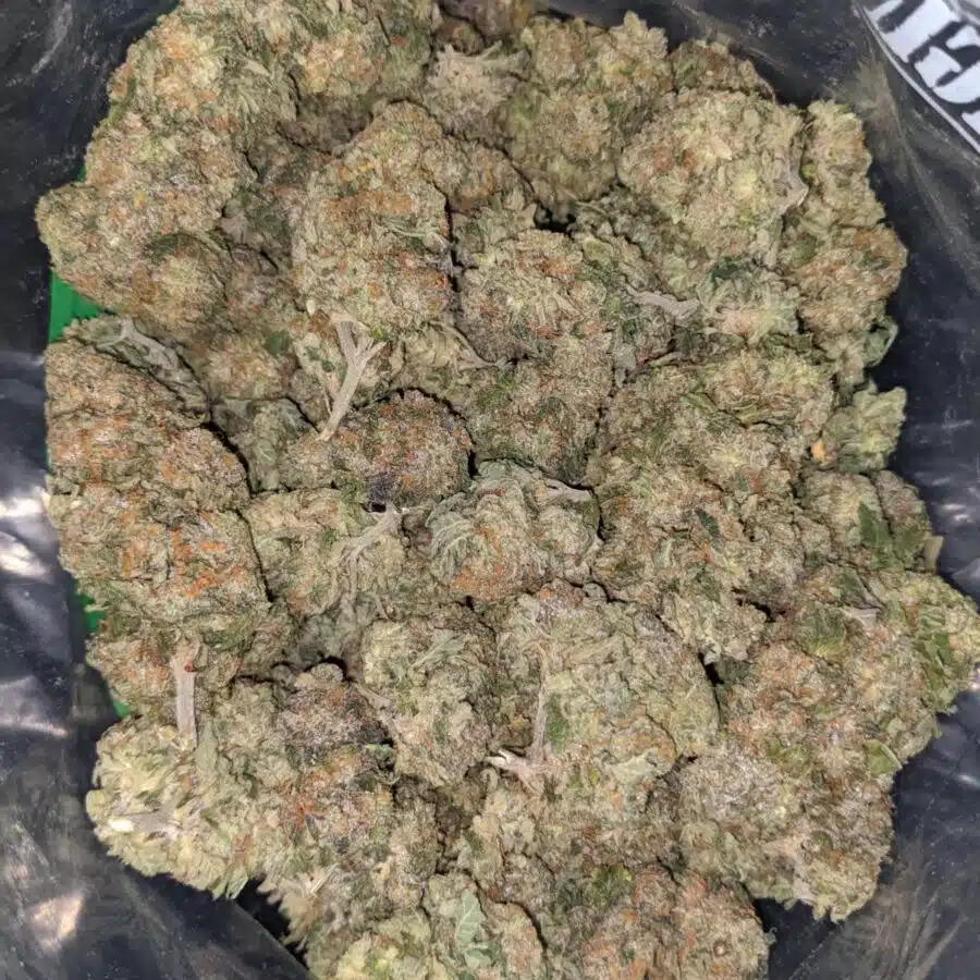champage cookies 1 I Champagne Cookies