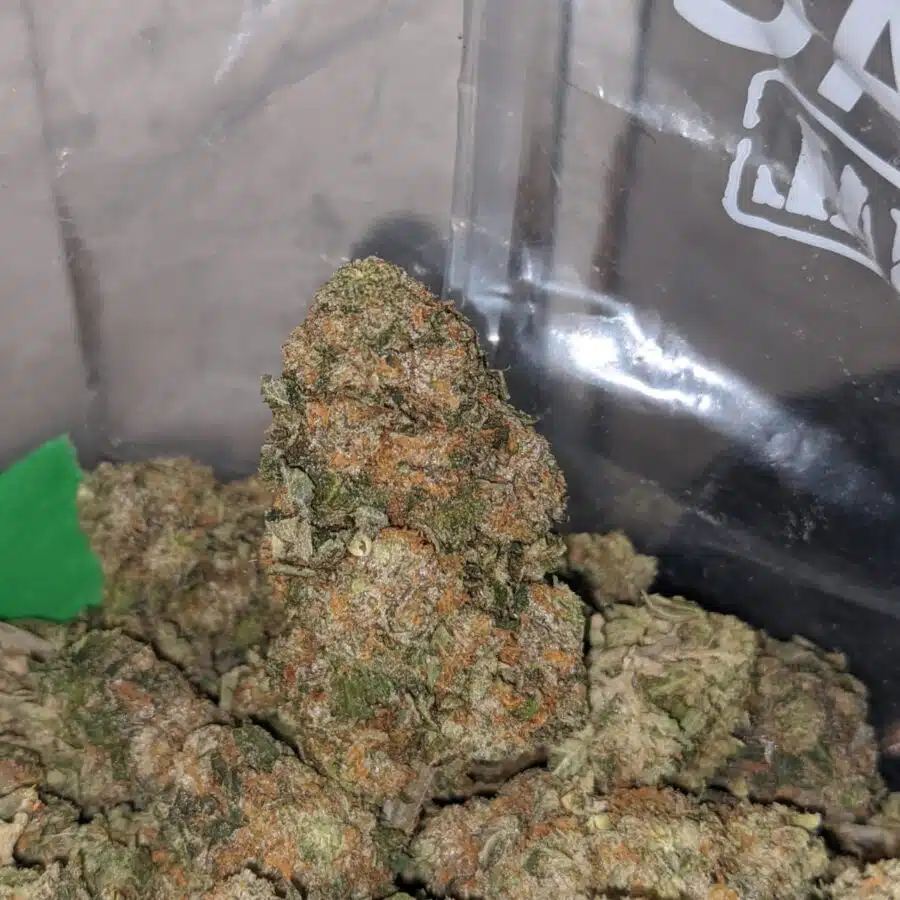 champage cookies 3 I Champagne Cookies