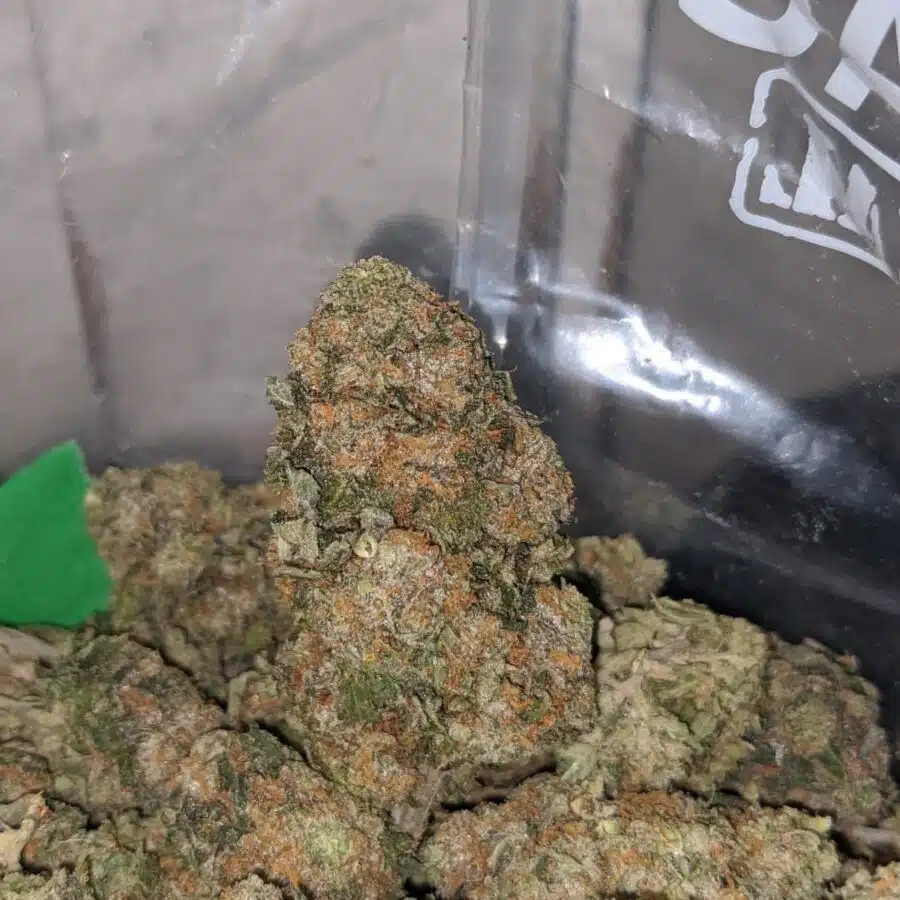 champage cookies 4 I Champagne Cookies